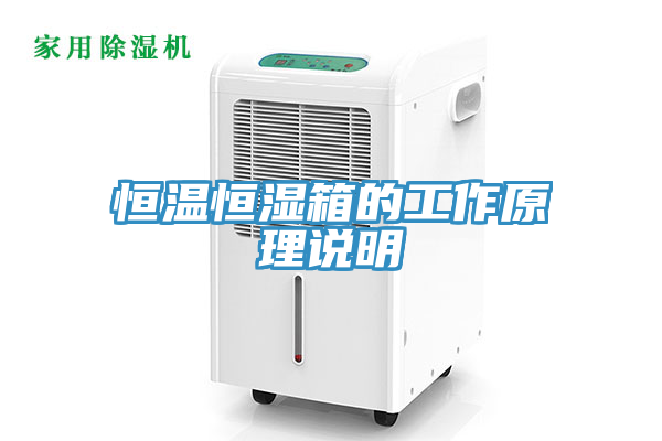 恒温恒湿箱的工作原理说明