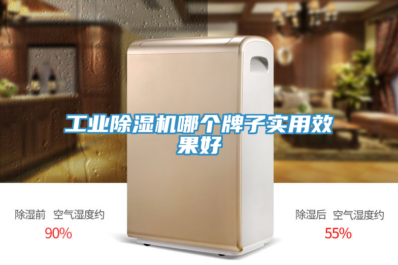 工业除湿机哪个牌子实用效果好