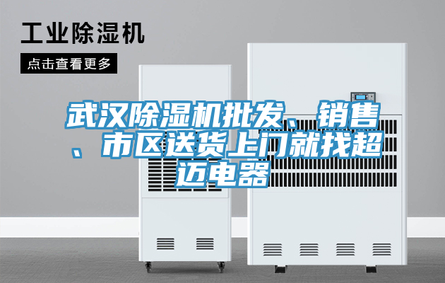 武汉除湿机批发、销售、市区送货上门就找超迈电器