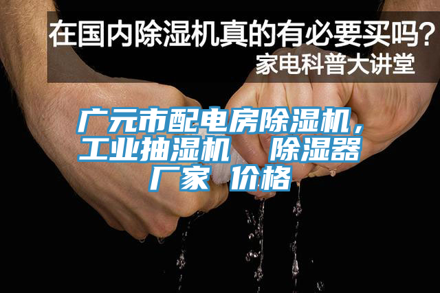 广元市配电房除湿机，工业抽湿机  除湿器厂家 价格