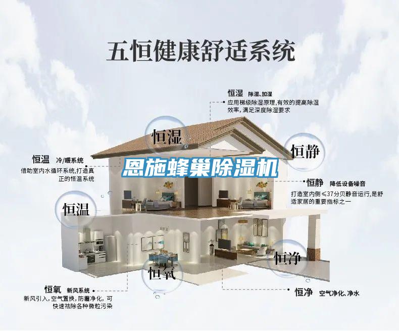 恩施蜂巢除湿机