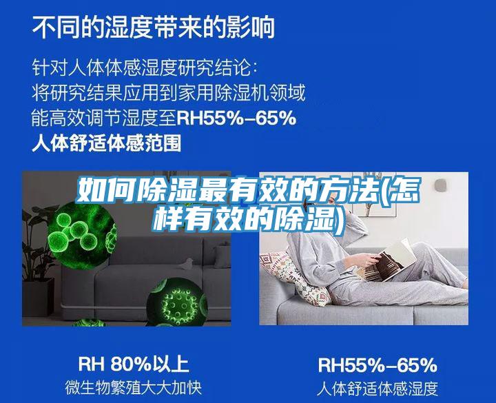 如何除湿最有效的方法(怎样有效的除湿)
