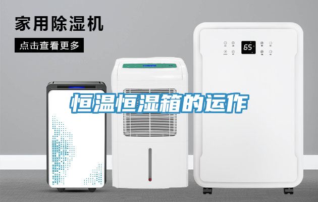 恒温恒湿箱的运作