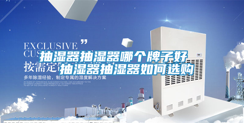 抽湿器抽湿器哪个牌子好   抽湿器抽湿器如何选购