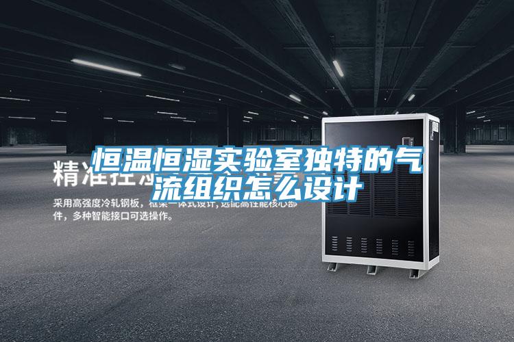 恒温恒湿实验室独特的气流组织怎么设计