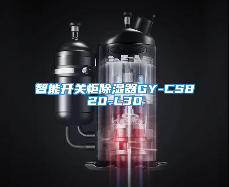 智能开关柜除湿器GY-CS820-L30