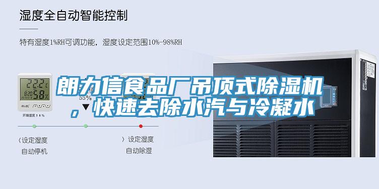 朗力信食品厂吊顶式除湿机，快速去除水汽与冷凝水