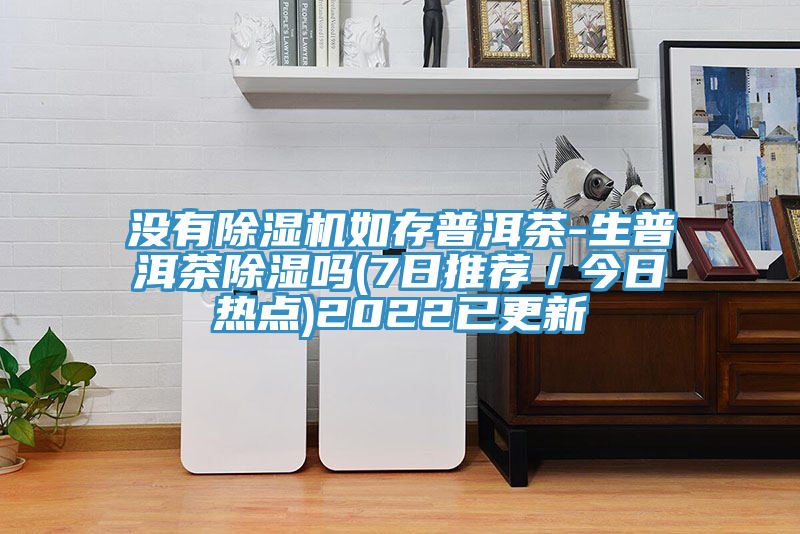 没有除湿机如存普洱茶-生普洱茶除湿吗(7日推荐／今日热点)2022已更新