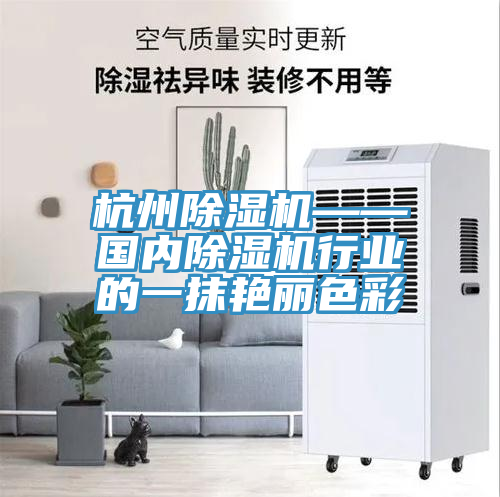杭州除湿机——国内除湿机行业的一抹艳丽色彩