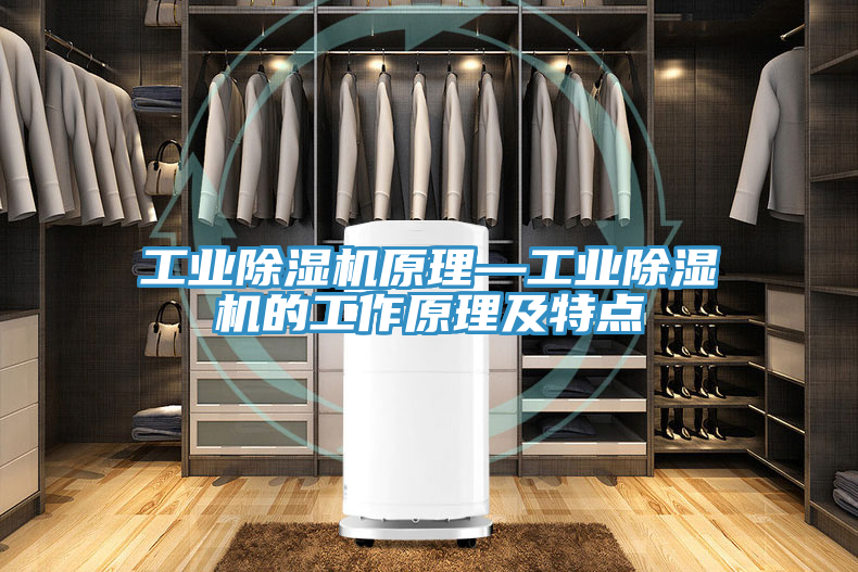 工业除湿机原理—工业除湿机的工作原理及特点