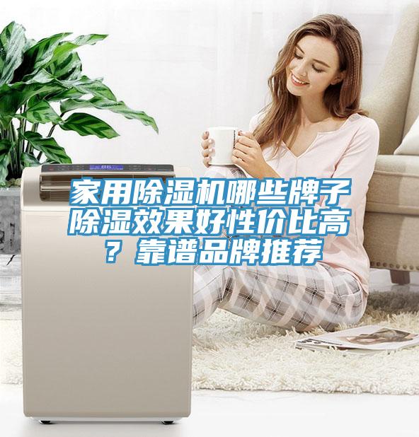 家用除湿机哪些牌子除湿效果好性价比高？靠谱品牌推荐