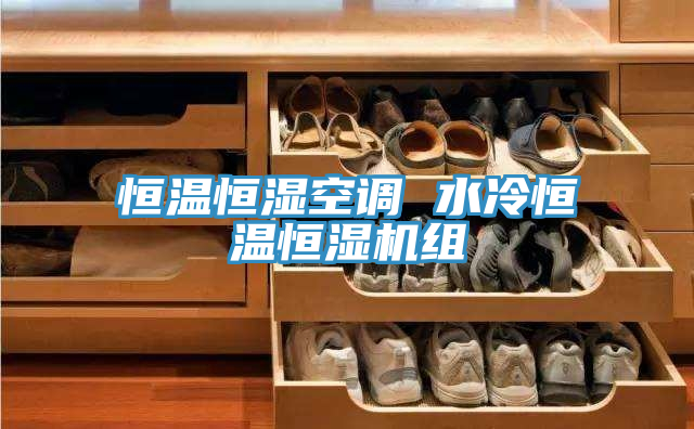 恒温恒湿空调 水冷恒温恒湿机组