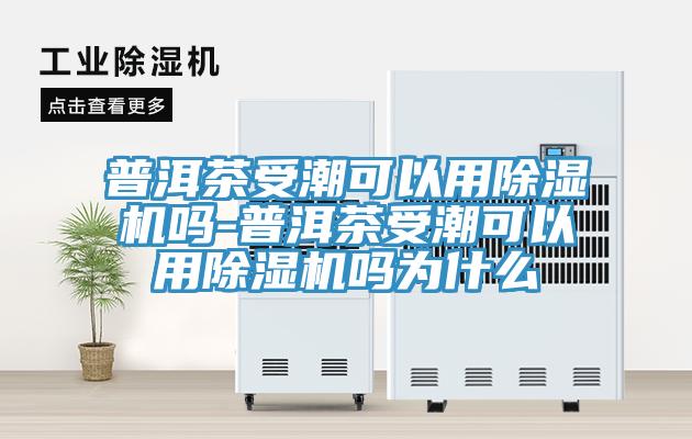 普洱茶受潮可以用除湿机吗-普洱茶受潮可以用除湿机吗为什么