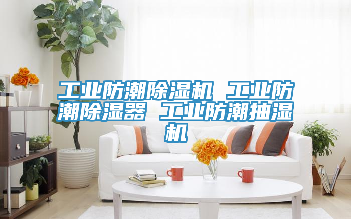 工业防潮除湿机 工业防潮除湿器 工业防潮抽湿机