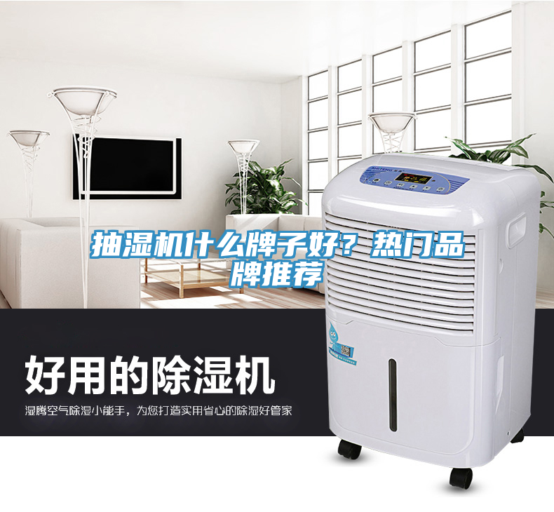 抽湿机什么牌子好？热门品牌推荐