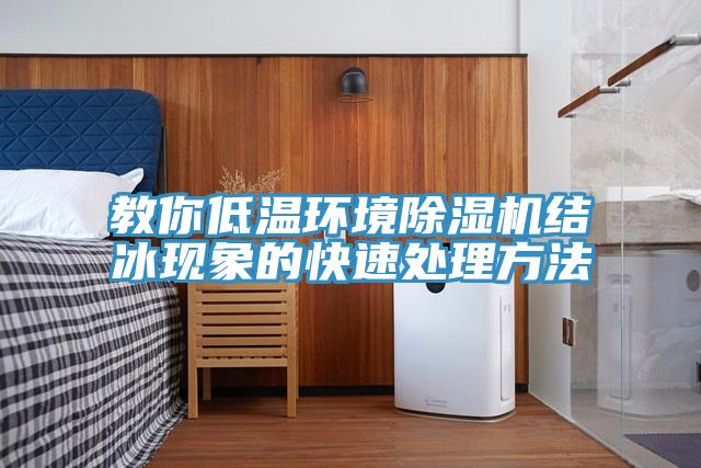 教你低温环境除湿机结冰现象的快速处理方法