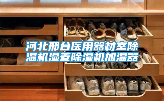 河北邢台医用器材室除湿机湿菱除湿机加湿器