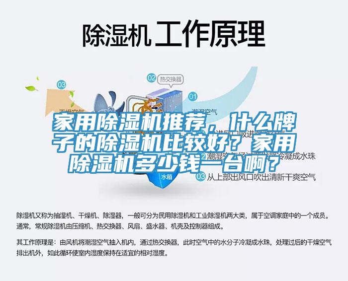 家用除湿机推荐，什么牌子的除湿机比较好？家用除湿机多少钱一台啊？