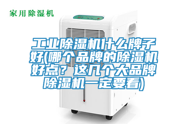 工业除湿机什么牌子好(哪个品牌的除湿机好点？这几个大品牌除湿机一定要看)