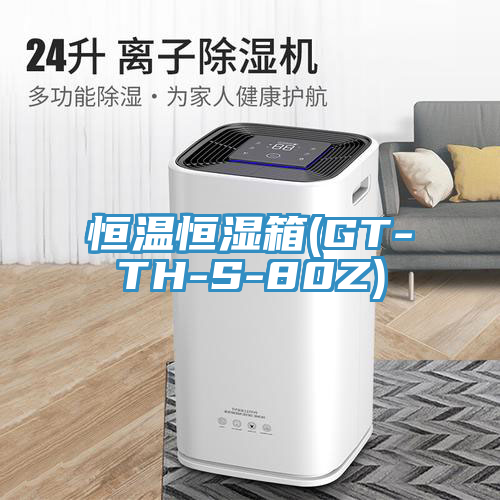 恒温恒湿箱(GT-TH-S-80Z)
