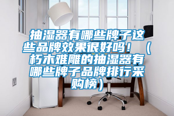 抽湿器有哪些牌子这些品牌效果很好吗！（朽木难雕的抽湿器有哪些牌子品牌排行采购榜）