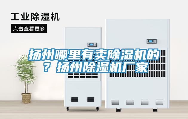 扬州哪里有卖除湿机的？扬州除湿机厂家