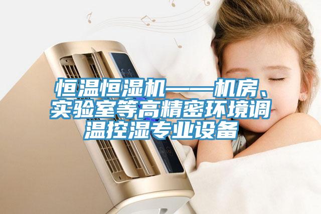 恒温恒湿机——机房、实验室等高精密环境调温控湿专业设备