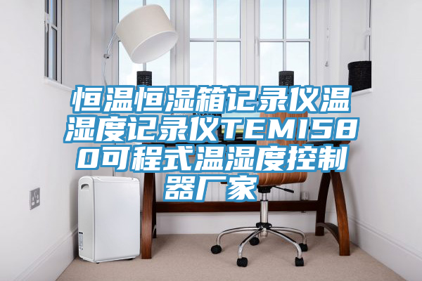 恒温恒湿箱记录仪温湿度记录仪TEMI580可程式温湿度控制器厂家