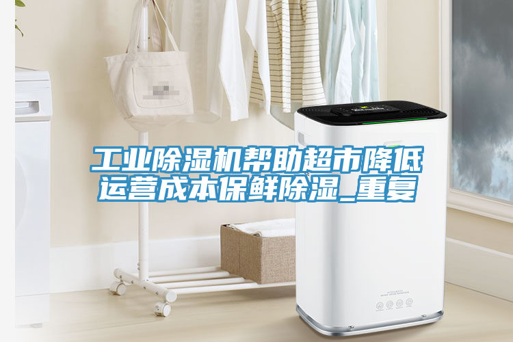工业除湿机帮助超市降低运营成本保鲜除湿_重复