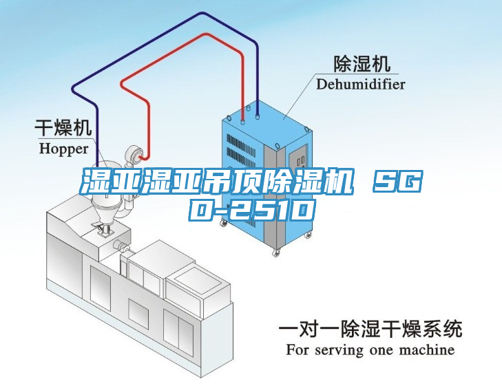 湿亚湿亚吊顶除湿机 SGD-251D