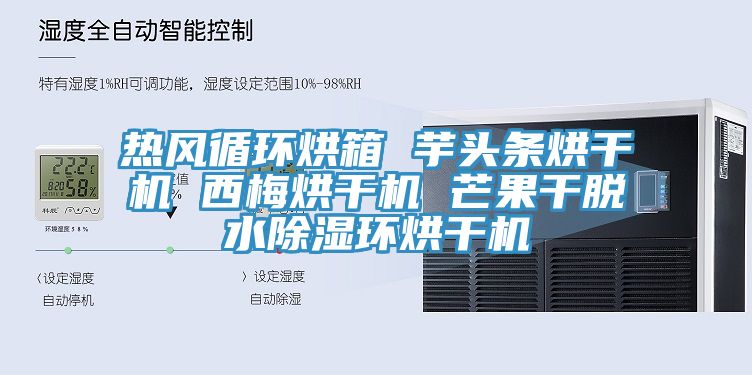 热风循环烘箱 芋头条烘干机 西梅烘干机 芒果干脱水除湿环烘干机