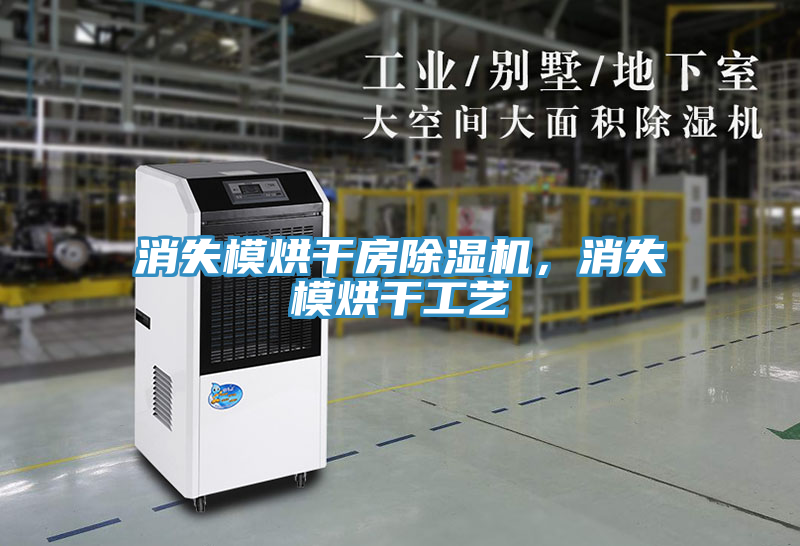 消失模烘干房除湿机，消失模烘干工艺