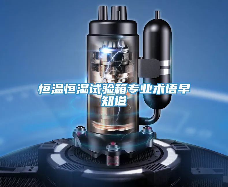 恒温恒湿试验箱专业术语早知道