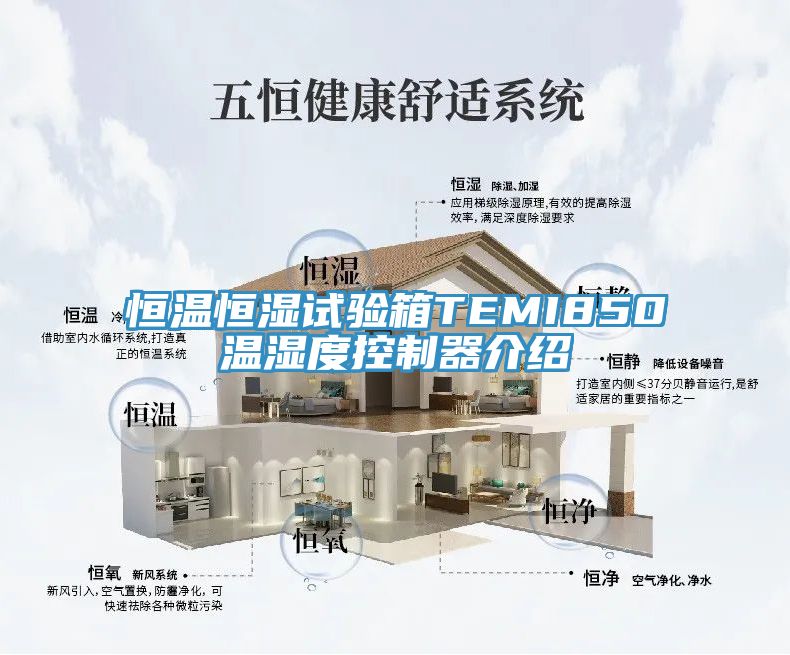 恒温恒湿试验箱TEMI850温湿度控制器介绍