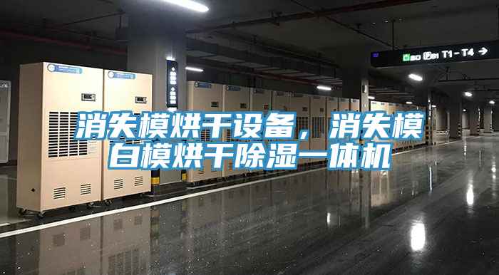 消失模烘干设备，消失模白模烘干除湿一体机