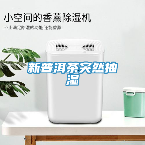 新普洱茶突然抽湿