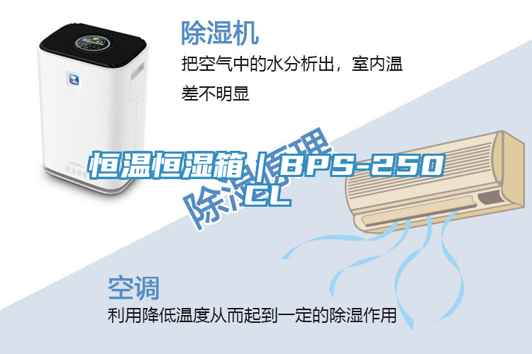 恒温恒湿箱｜BPS-250CL