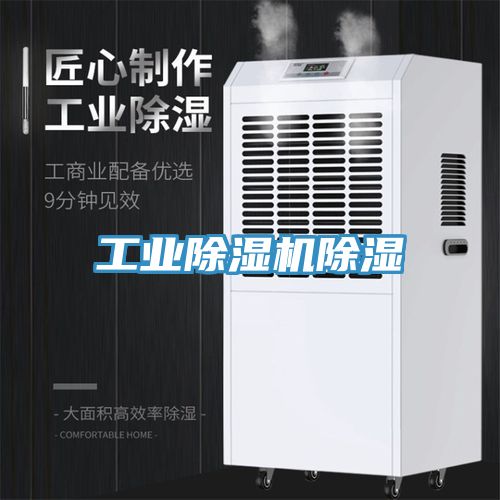 工业除湿机除湿