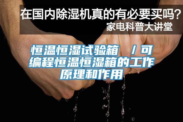 恒温恒湿试验箱 ／可编程恒温恒湿箱的工作原理和作用