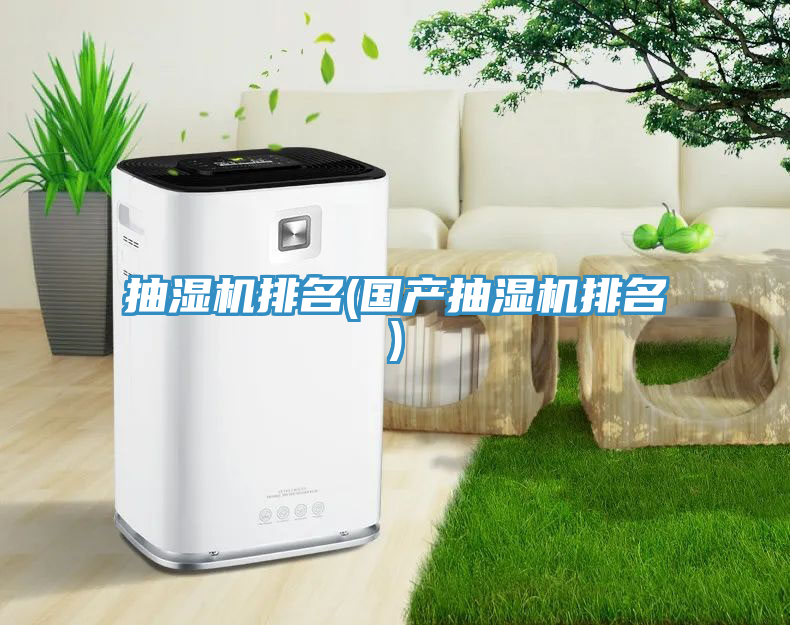 抽湿机排名(国产抽湿机排名)