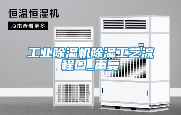 工业除湿机除湿工艺流程图_重复