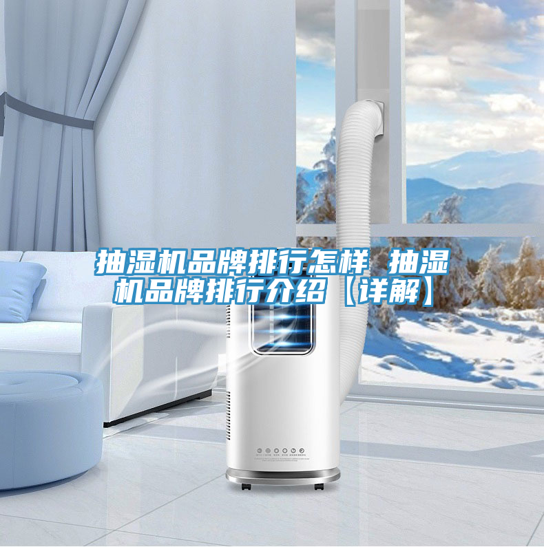 抽湿机品牌排行怎样 抽湿机品牌排行介绍【详解】