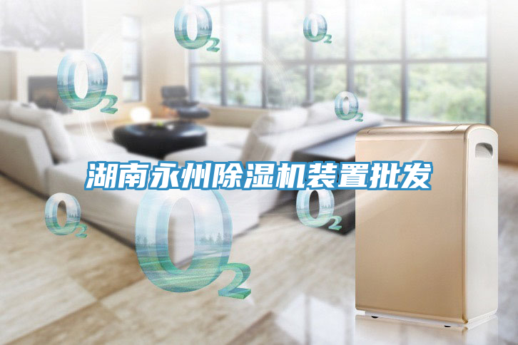 湖南永州除湿机装置批发