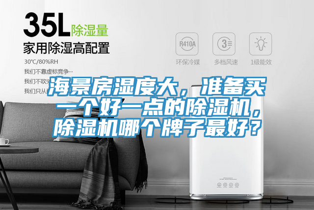 海景房湿度大，准备买一个好一点的除湿机，除湿机哪个牌子最好？