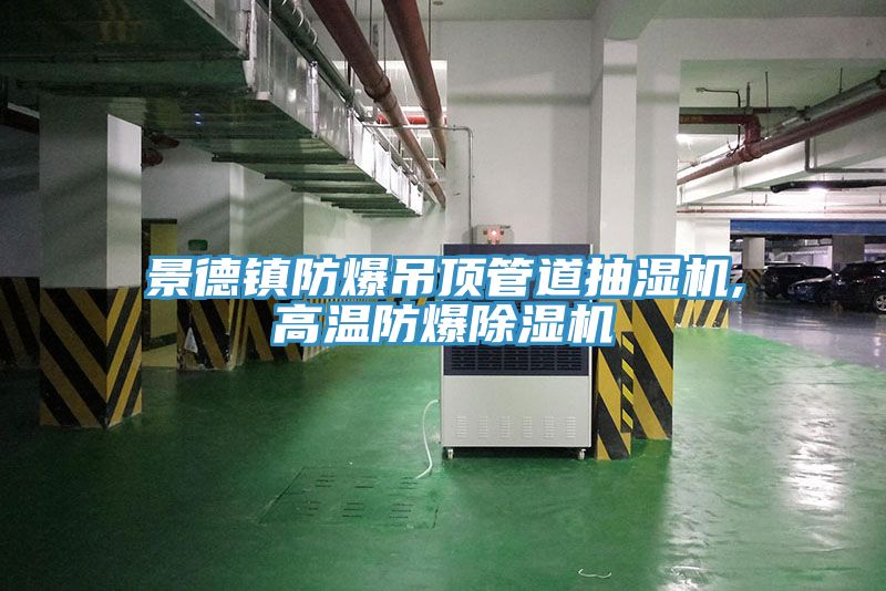 景德镇防爆吊顶管道抽湿机,高温防爆除湿机