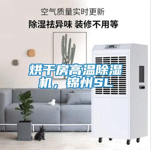 烘干房高温除湿机，锦州SL