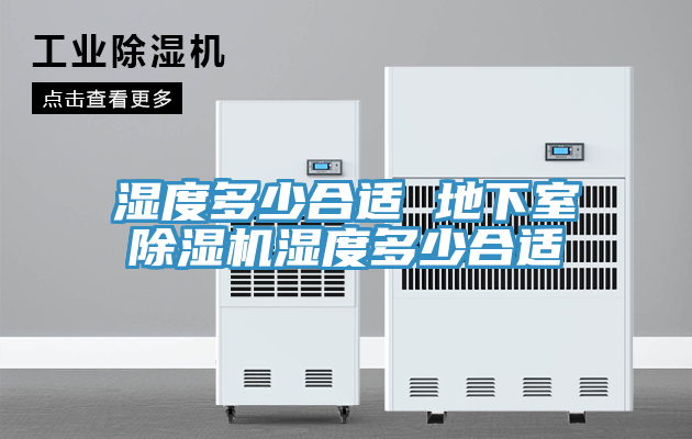 湿度多少合适 地下室除湿机湿度多少合适