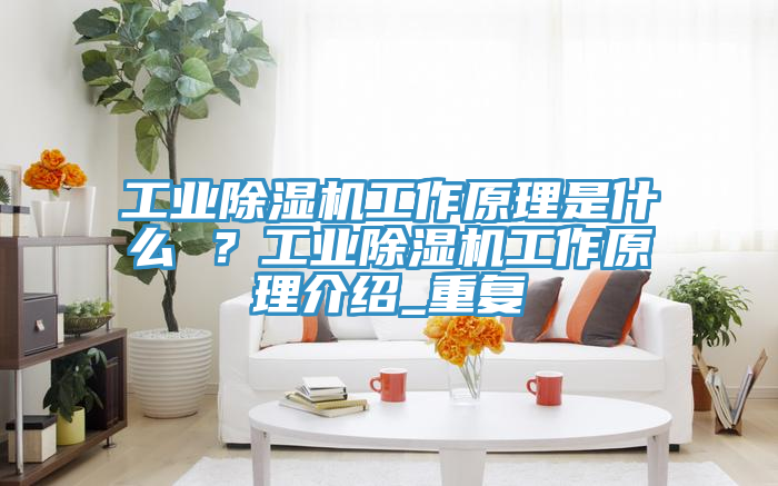 工业除湿机工作原理是什么 ？工业除湿机工作原理介绍_重复