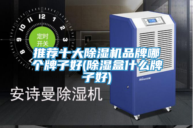 推荐十大除湿机品牌哪个牌子好(除湿盒什么牌子好)