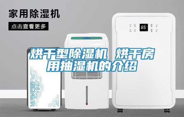烘干型除湿机 烘干房用抽湿机的介绍